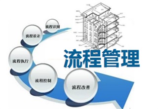 《房地产流程再造与计划运营管理》