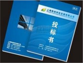 《项目型销售策略与招投标技巧（2017年新版）》